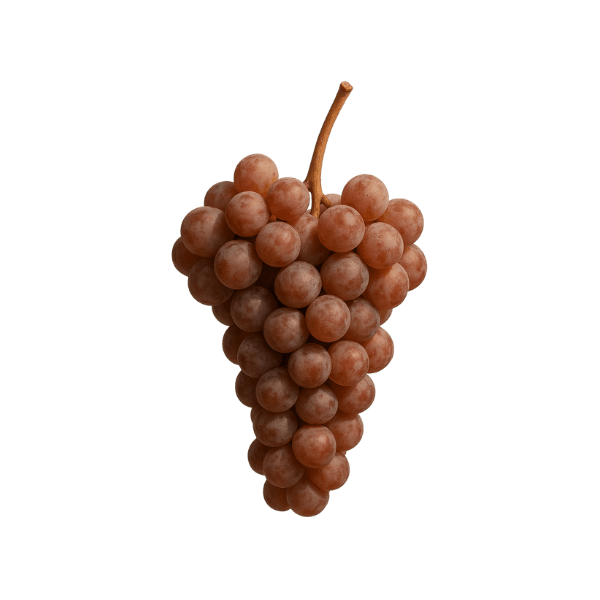 Tramín červený