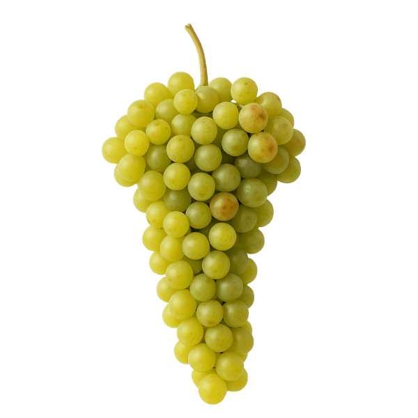 Veritas
